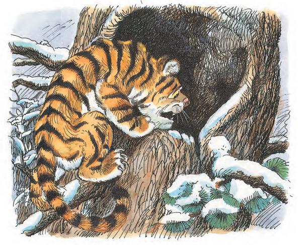 ������ ��� ������ ������